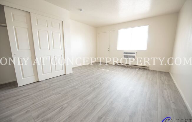 Studio, 1 bath, 360 sqft, $699, Unit 238