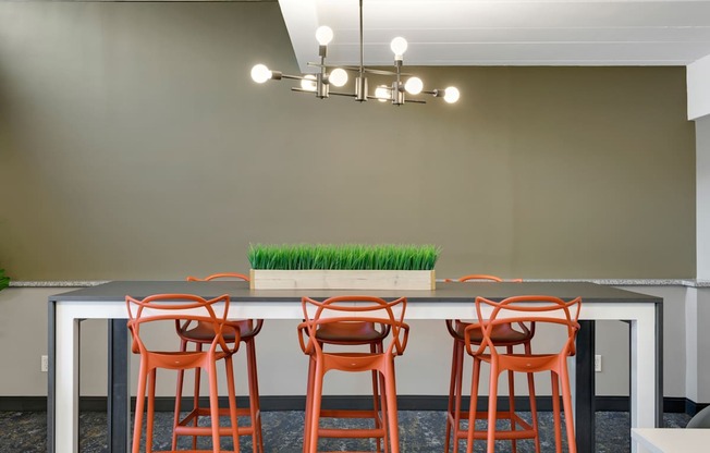 A long table with four chairs and a plant on it.