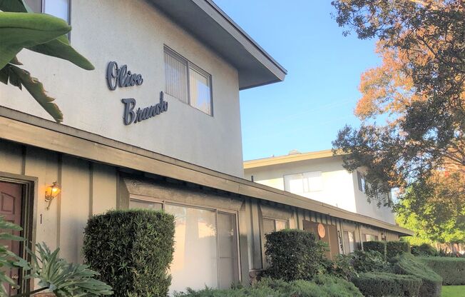 Olive Branch Apartments