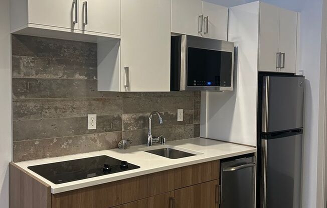 Studio, 1 bath, 244 sqft, $1,307, Unit 505