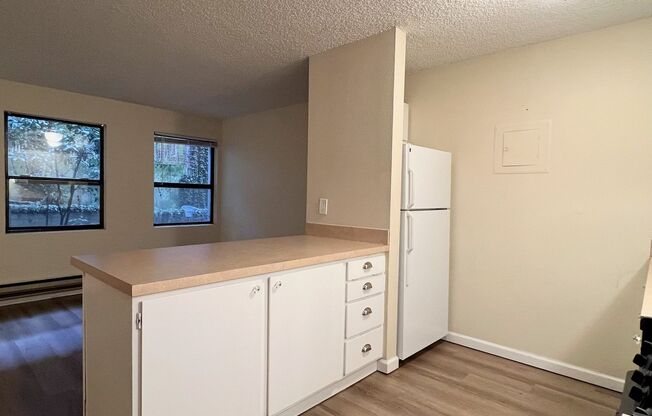 Studio, 1 bath, 495 sqft, $1,125, Unit 3