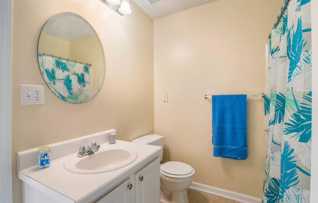 Luxurious Bathroom at Cedar Springs Apartments, Raleigh