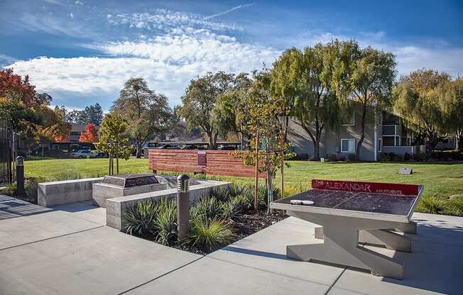 The Alexandar Outdoor Ping Pong Table
