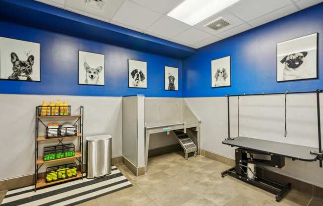 a veterinary exam room with a exam table and a blue wall with pictures of dogs