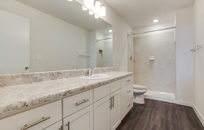 Bathroom With Bathtub at Aviator at Brooks  Apartments, Clear Property Management, Texas, 78235