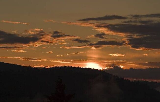 1 bed, 1 bath, 800 sqft, $1,645, Unit 1013