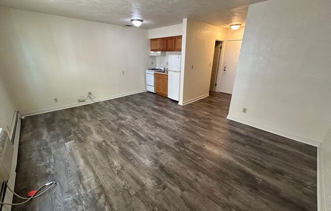 Studio, 1 bath, $750, Unit 317