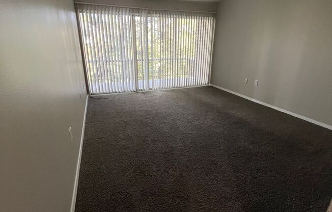 1 bed, 1 bath, 800 sqft, $900, Unit 124