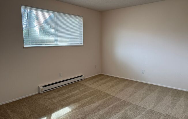 2 beds, 1 bath, 1,000 sqft, $1,295, Unit 50