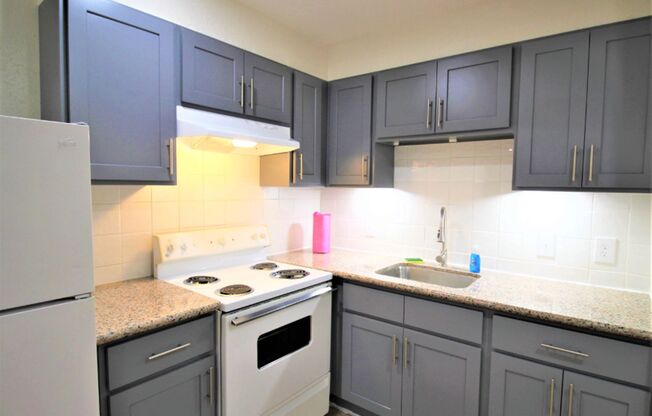 1 bed, 1 bath, 460 sqft, $990