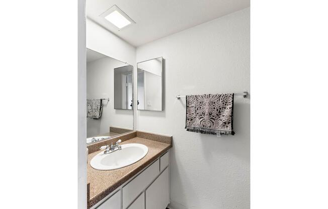 a sink and a mirror