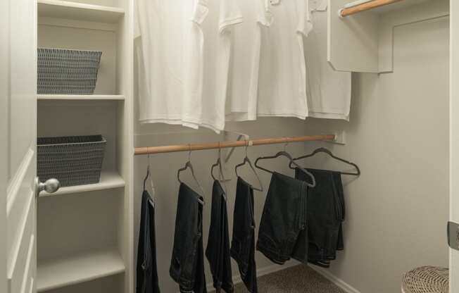 Large walk-in closets at Trevi Apartment Homes