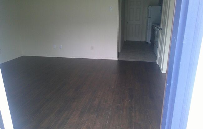 1 bed, 1 bath, 500 sqft, $1,025, Unit 31