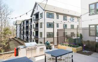 Spacious outdoor grilling station with two grills and herb planters at Novel Cary