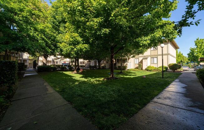 1 bed, 1 bath, 592 sqft, $1,950, Unit 4