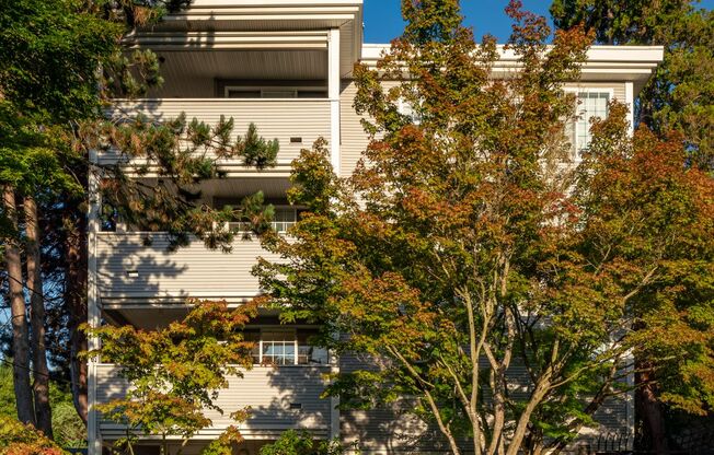 5307 LIVE CLOSE TO UNIVERSITY VILLAGE AND UW!