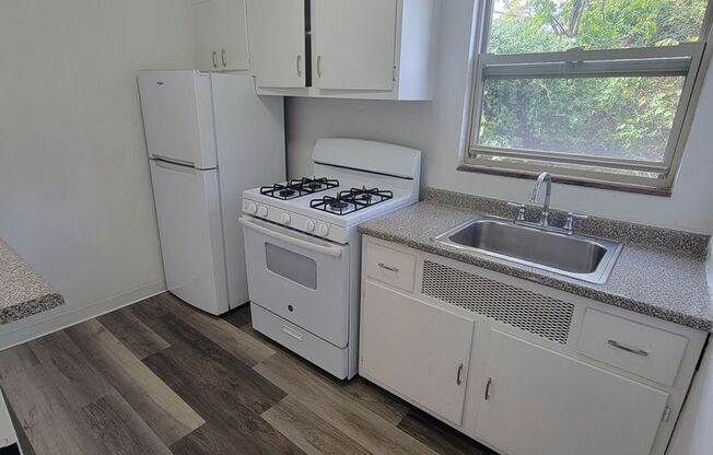 1 bed, 1 bath, 563 sqft, $850