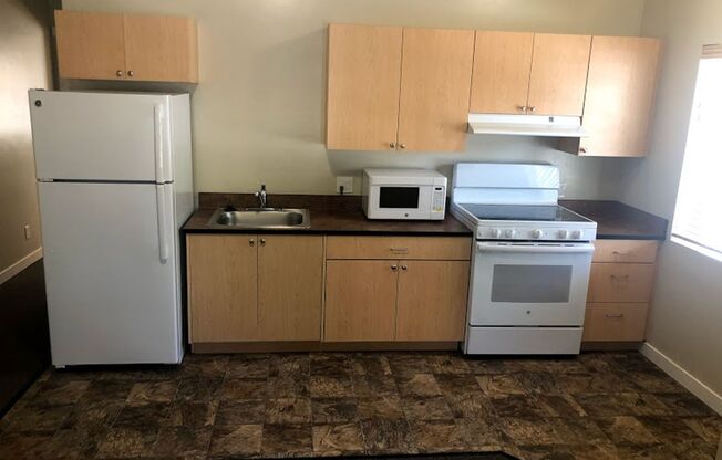 1 bed, 1 bath, 450 sqft, $965, Unit 4252-105