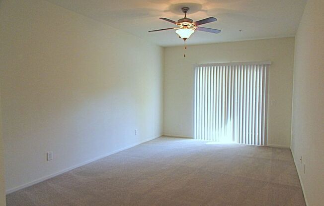 50 Aura De Blanco St.