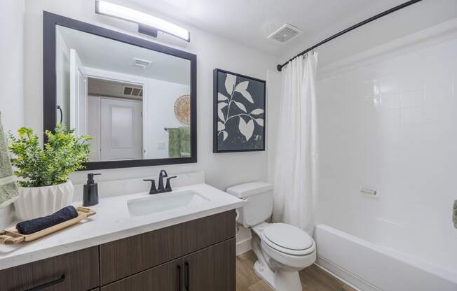 bathroom with toilet, sink and tub shower