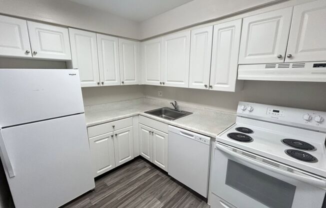 2 beds, 2 baths, 1,000 sqft, $1,589, Unit I002