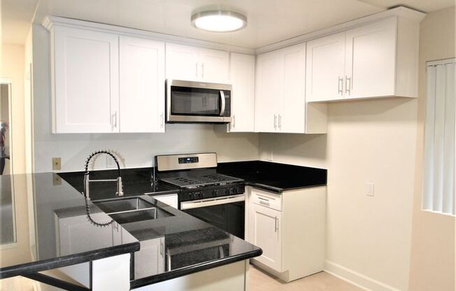 Studio, 1 bath, 650 sqft, $1,699