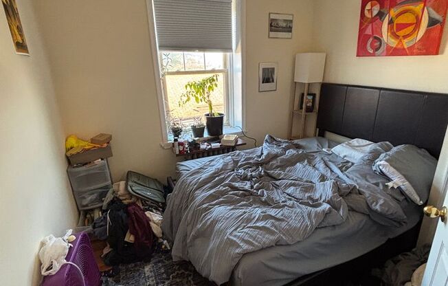 2 beds, 1 bath, 1,000 sqft, $1,295, Unit 19