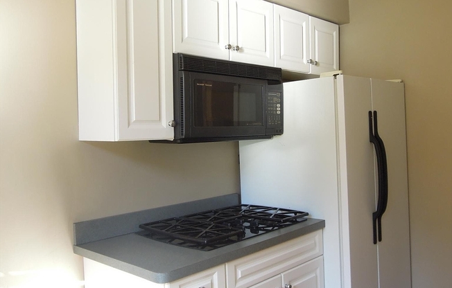 1 bed, 1 bath, 610 sqft, $3,100, Unit 209