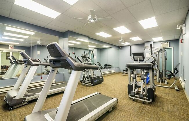 Stunning Large One Bedroom, Lake View, Elevator Building