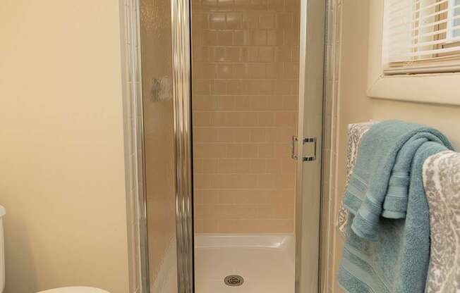 Walk-in shower