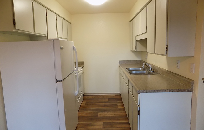 1 bed, 1 bath, 667 sqft, $1,325