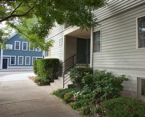 Welcome to 119 Pacific Street