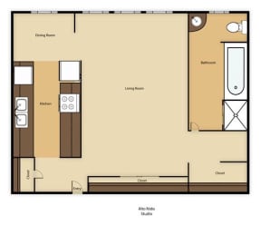 Studio, 1 bath, 570 sqft, $1,878