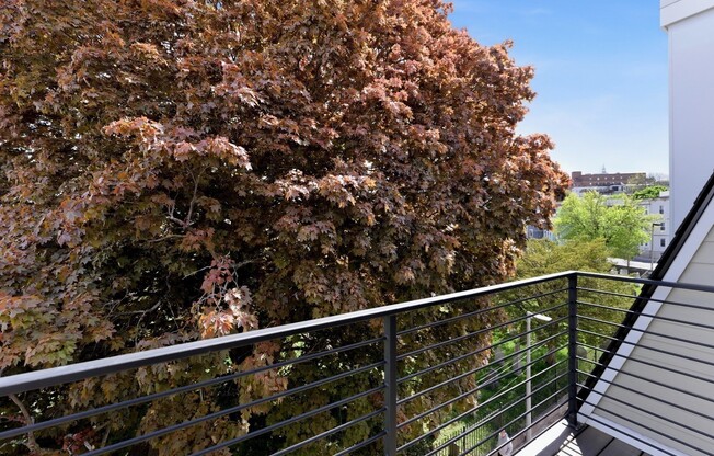 3 beds, 3.5 baths, 2,829 sqft, $7,500, Unit 3
