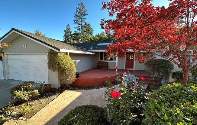 LOS GATOS - Beautifully upgraded property in desirable Los Gatos location, Los Gatos Schools