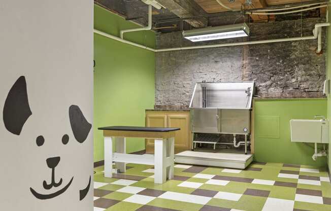Dog Washat Lowertown Lofts, St. Paul, 55101