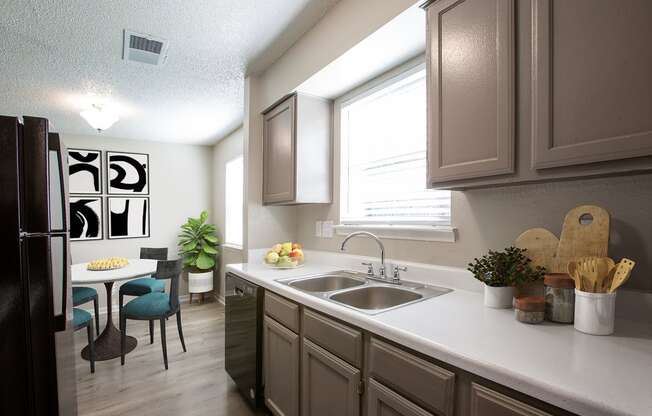 Kitchen with Window View at The Villas at Quail Creek Apartment Homes in Austin Texas
