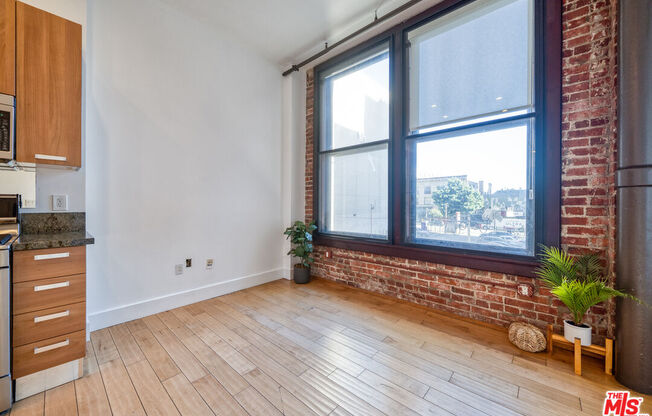 Studio, 1 bath, 460 sqft, $1,800, Unit 206