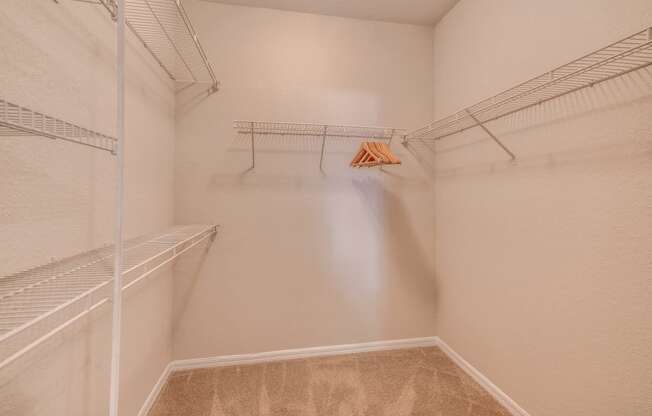 Furnished model walk-in closet with racks and hangers