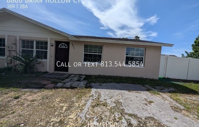 8806 BRIAR HOLW CT