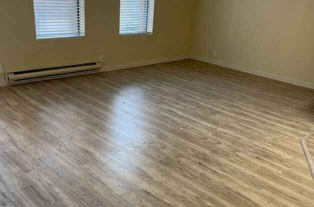 Studio, 1 bath, 445 sqft, $1,295, Unit 305