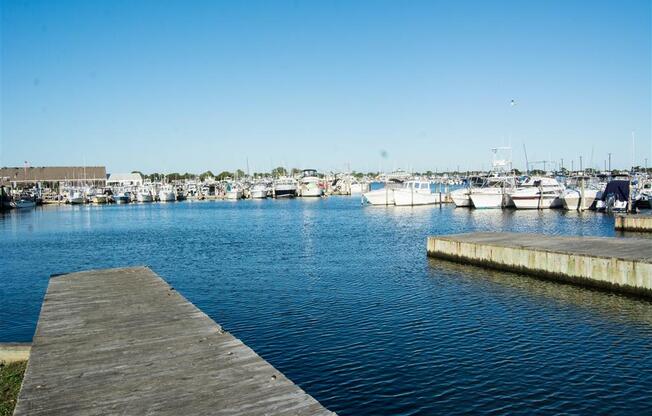 Bay Photo