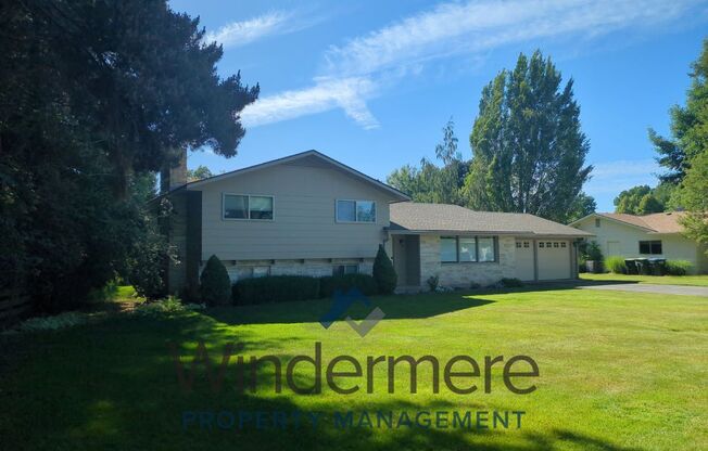 1976 Scarpelli Drive