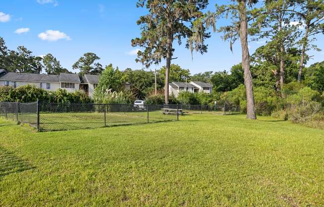 A grassy field with trees and houses in the background.