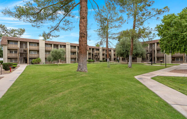 Courtyard with Palm Trees and Buildings at Verde Apartments in Tucson, AZ!