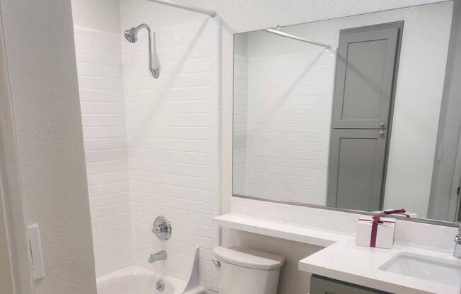2x2D Hall bathroom white countertop with grey cabinets
