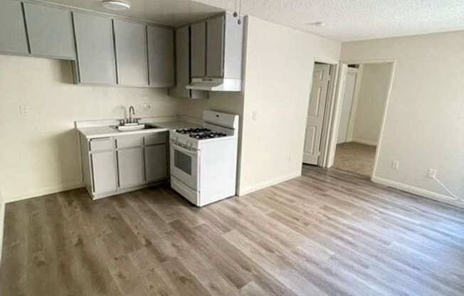 1 bed, 1 bath, 382 sqft, $1,725, Unit 113