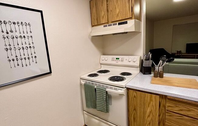 1 bed, 1 bath, 507 sqft, $1,795, Unit 103