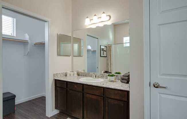 Horizon at Premier Apartments Bathroom Sink Vanity and Large Closet.