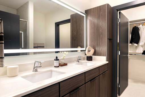 Master Bath and Closet at 220 Meridian, Indianapolis, IN 46204